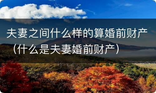 夫妻之间什么样的算婚前财产（什么是夫妻婚前财产）