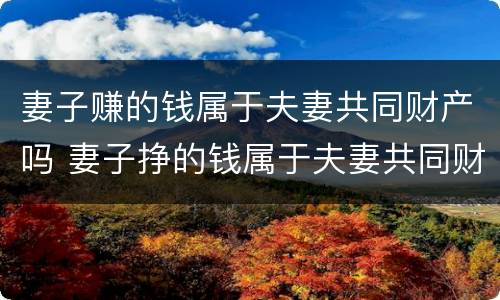 妻子赚的钱属于夫妻共同财产吗 妻子挣的钱属于夫妻共同财产吗