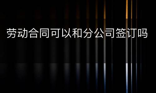 劳动合同可以和分公司签订吗