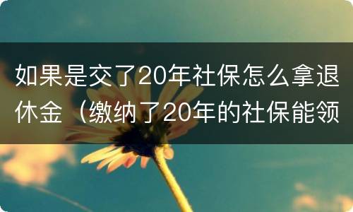 如果是交了20年社保怎么拿退休金（缴纳了20年的社保能领多少工资）