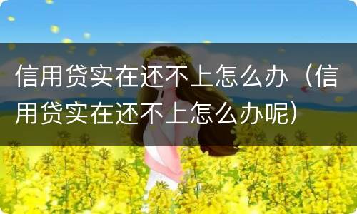 信用贷实在还不上怎么办（信用贷实在还不上怎么办呢）