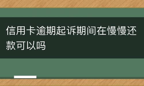 信用卡逾期起诉期间在慢慢还款可以吗