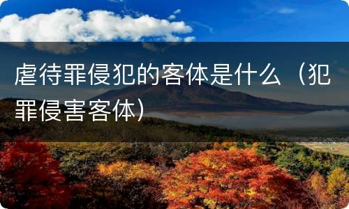 虐待罪侵犯的客体是什么（犯罪侵害客体）