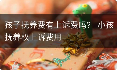 孩子抚养费有上诉费吗？ 小孩抚养权上诉费用