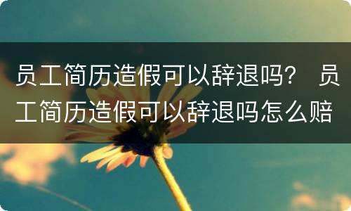 员工简历造假可以辞退吗？ 员工简历造假可以辞退吗怎么赔偿