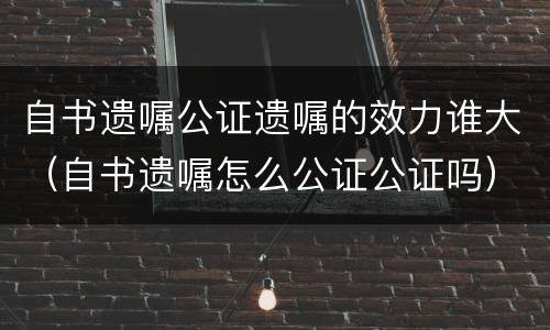 自书遗嘱公证遗嘱的效力谁大（自书遗嘱怎么公证公证吗）