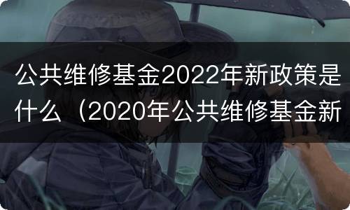 公共维修基金2022年新政策是什么（2020年公共维修基金新规）