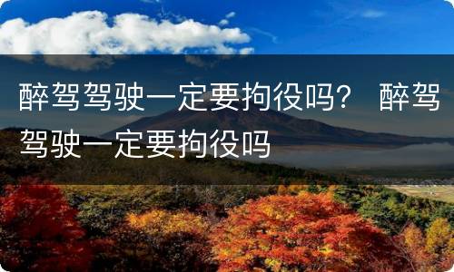 醉驾驾驶一定要拘役吗？ 醉驾驾驶一定要拘役吗