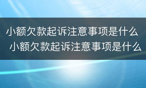 小额欠款起诉注意事项是什么 小额欠款起诉注意事项是什么原因