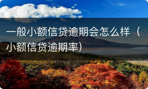 一般小额信贷逾期会怎么样（小额信贷逾期率）