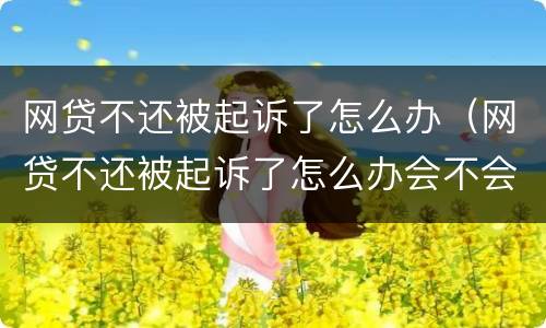 网贷不还被起诉了怎么办（网贷不还被起诉了怎么办会不会影响到父母）