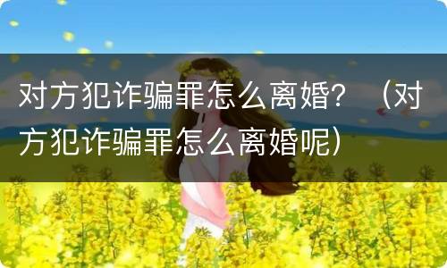 对方犯诈骗罪怎么离婚？（对方犯诈骗罪怎么离婚呢）