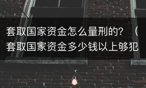 套取国家资金怎么量刑的？（套取国家资金多少钱以上够犯罪）