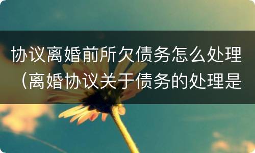 协议离婚前所欠债务怎么处理（离婚协议关于债务的处理是怎么样的）