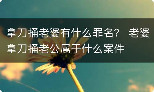 拿刀捅老婆有什么罪名？ 老婆拿刀捅老公属于什么案件