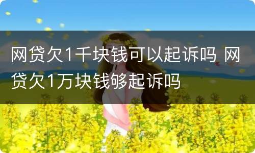网贷欠1千块钱可以起诉吗 网贷欠1万块钱够起诉吗