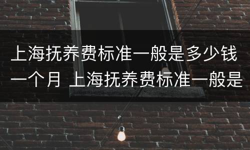 上海抚养费标准一般是多少钱一个月 上海抚养费标准一般是多少钱一个月呢