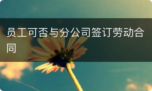 员工可否与分公司签订劳动合同