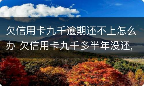 欠信用卡九千逾期还不上怎么办 欠信用卡九千多半年没还,会被怎么样?