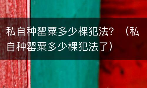 私自种罂粟多少棵犯法？（私自种罂粟多少棵犯法了）