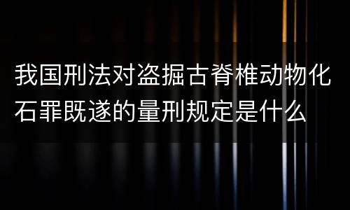 我国刑法对盗掘古脊椎动物化石罪既遂的量刑规定是什么