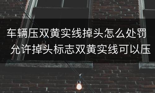 车辆压双黄实线掉头怎么处罚 允许掉头标志双黄实线可以压吗