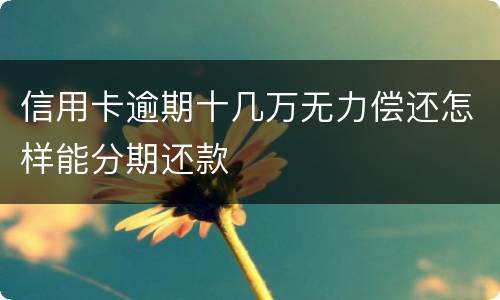 信用卡逾期十几万无力偿还怎样能分期还款