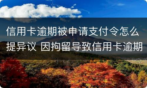 信用卡逾期被申请支付令怎么提异议 因拘留导致信用卡逾期可以申诉吗