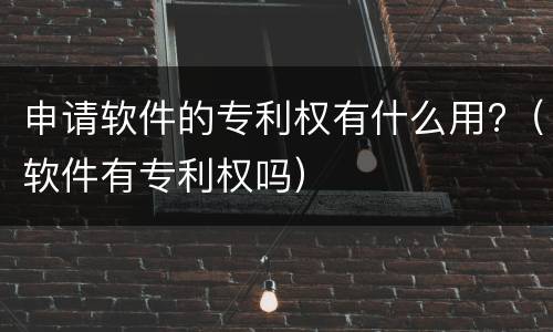 申请软件的专利权有什么用?（软件有专利权吗）
