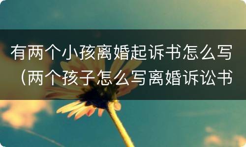 有两个小孩离婚起诉书怎么写（两个孩子怎么写离婚诉讼书）