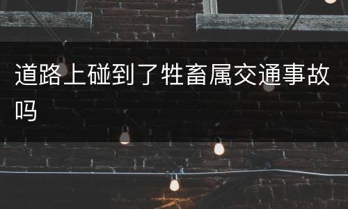 道路上碰到了牲畜属交通事故吗