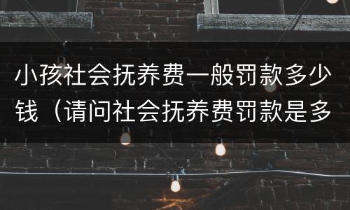 小孩社会抚养费一般罚款多少钱（请问社会抚养费罚款是多少）