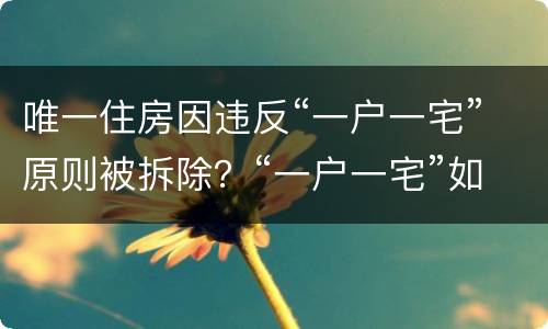 唯一住房因违反“一户一宅”原则被拆除？“一户一宅”如何认定？