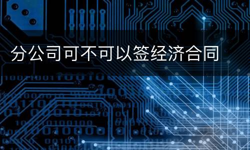 分公司可不可以签经济合同