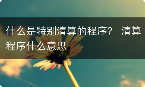 什么是特别清算的程序？ 清算程序什么意思