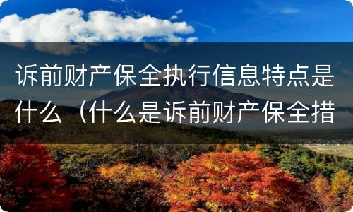 诉前财产保全执行信息特点是什么（什么是诉前财产保全措施）