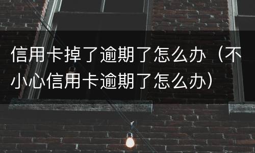 信用卡掉了逾期了怎么办（不小心信用卡逾期了怎么办）