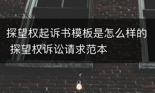 探望权起诉书模板是怎么样的 探望权诉讼请求范本
