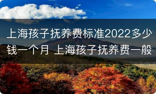 上海孩子抚养费标准2022多少钱一个月 上海孩子抚养费一般多少