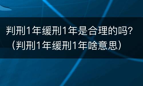 判刑1年缓刑1年是合理的吗？（判刑1年缓刑1年啥意思）