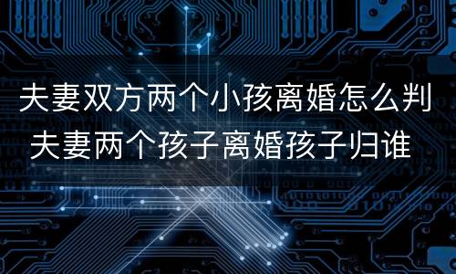 夫妻双方两个小孩离婚怎么判 夫妻两个孩子离婚孩子归谁