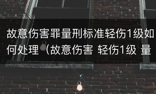 故意伤害罪量刑标准轻伤1级如何处理（故意伤害 轻伤1级 量刑标准）