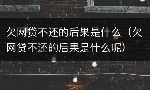 欠网贷不还的后果是什么（欠网贷不还的后果是什么呢）