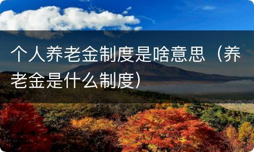 个人养老金制度是啥意思（养老金是什么制度）