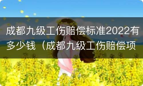 成都九级工伤赔偿标准2022有多少钱（成都九级工伤赔偿项目一览表）