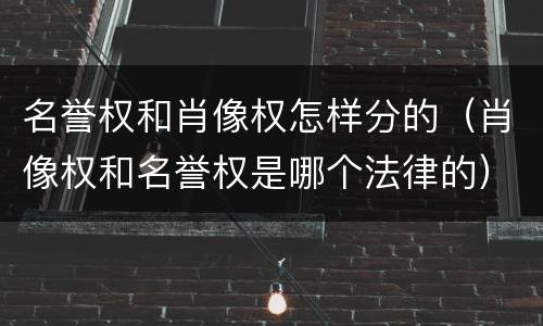名誉权和肖像权怎样分的（肖像权和名誉权是哪个法律的）