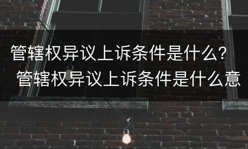 管辖权异议上诉条件是什么？ 管辖权异议上诉条件是什么意思