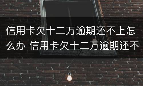 信用卡欠十二万逾期还不上怎么办 信用卡欠十二万逾期还不上怎么办呢