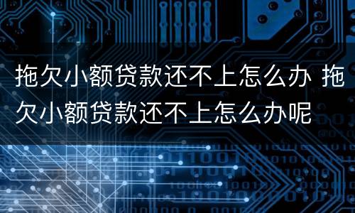 拖欠小额贷款还不上怎么办 拖欠小额贷款还不上怎么办呢