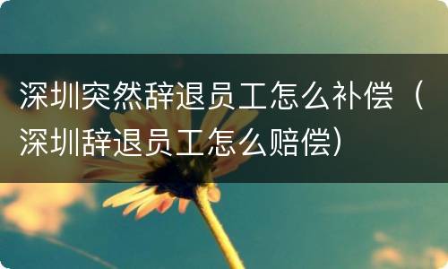 深圳突然辞退员工怎么补偿（深圳辞退员工怎么赔偿）